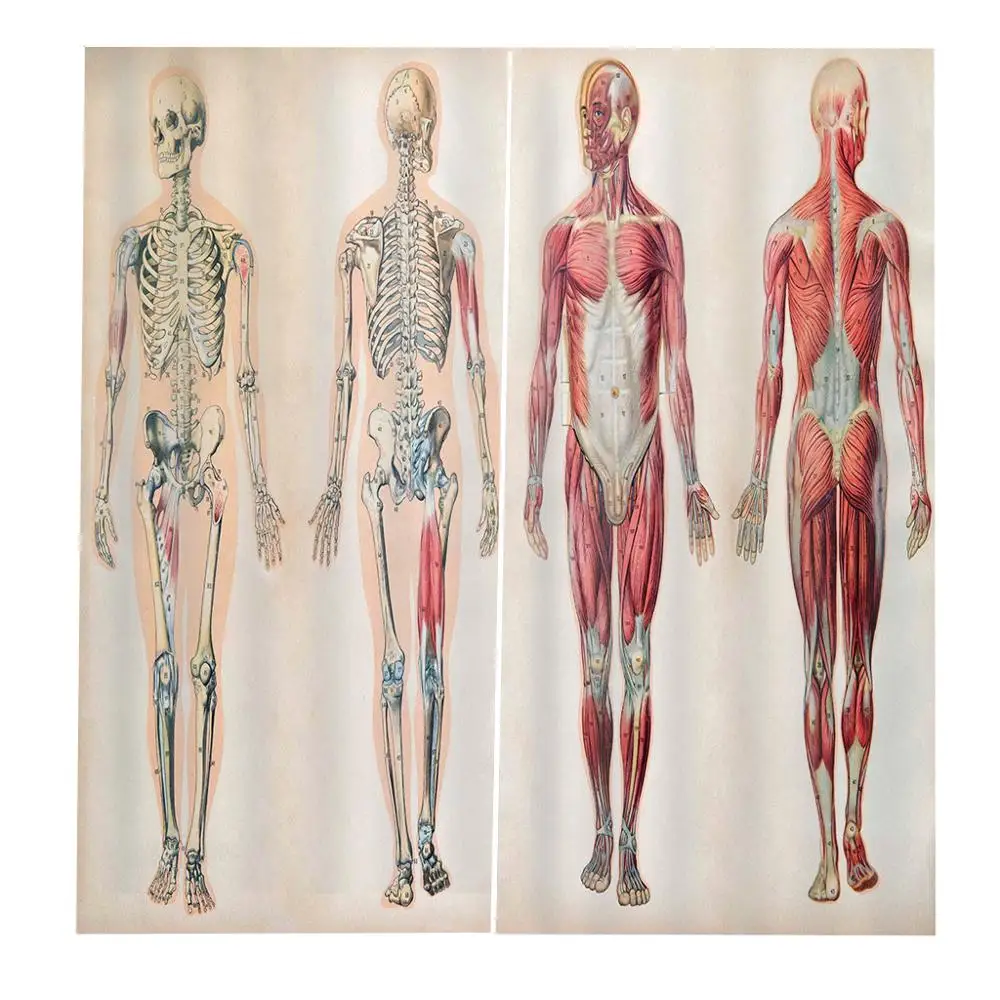 

Custom curtains human body Photo Blackout Window Drapes Luxury 3D Curtains For Living room Bed room Office Hotel Home