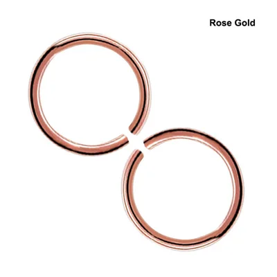 Rose Gold x 2pcs 2 шт 20 г 0,8 мм тонкое кольцо в нос имитация перегородки спирали нострил пирсинг для губы поддельный пирсинг титана хряща поддельные серьги обруч - Окраска металла: Rose Gold x 2pcs