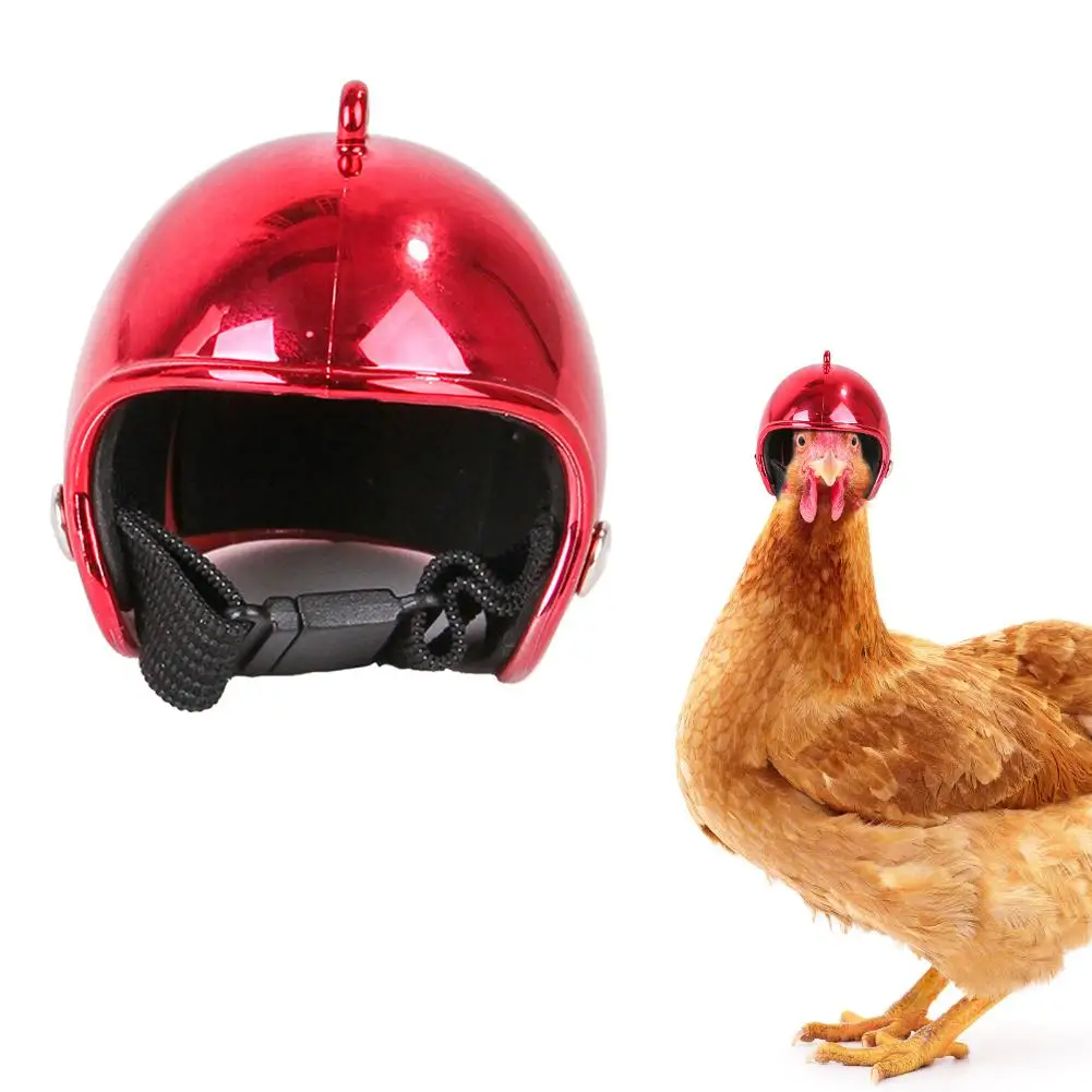 

Pet Chicken Bird Helmet Small Pet Hard Hat Hat Headgear Pet Helmets Toy Bird Protect Cap ABS Hats Accessories Pet Supplies