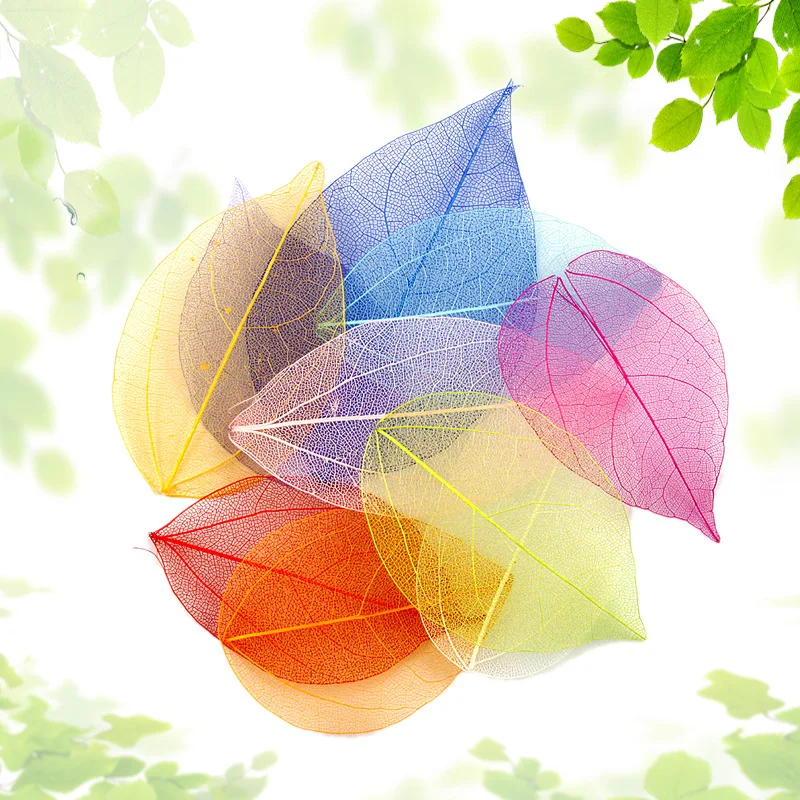 

50pcs/Set Natural Skeleton Leaf Vein Dried DIY Handmade Materials Nail Art Flowers Material for Party Home Decor