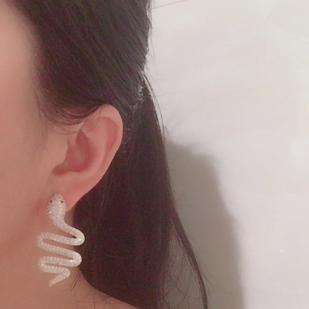 

Wave serpentine earrings Europe and America atmospheric personality exaggerated curve S925 silver needle long tassel earrings