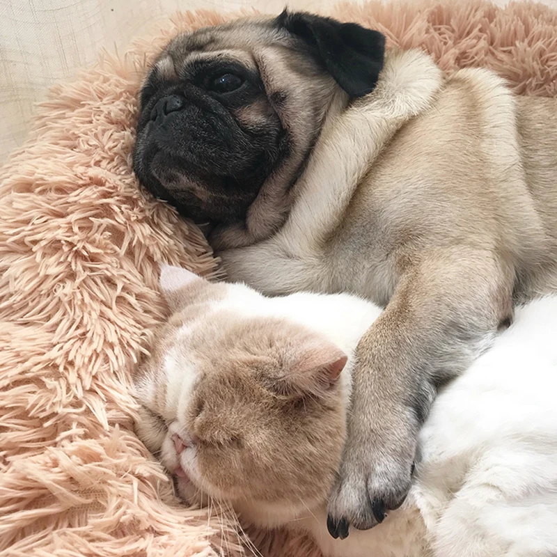 

Dog wool coat pet round bed cushion for small dogs medium large cat winter dog kennel pet bed