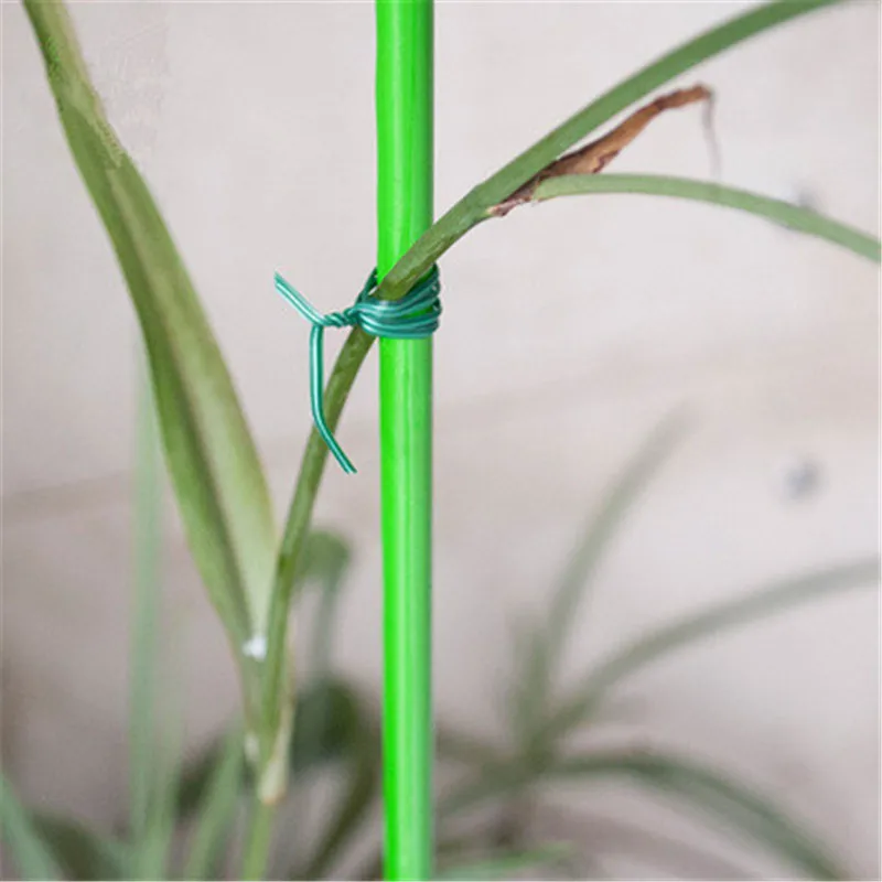 20 м/30 м/50 м веревочная дисковая веревка крепление для виноградной лозы