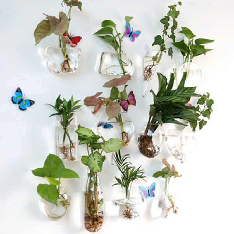 Creative Hanging Hydroponic Plant Glass Vase Wall Transparent Flower Pot Green Dill Small Fish Tank Modern | Дом и сад
