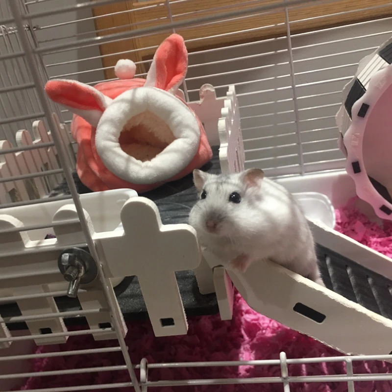 pet cage for hamster accessories pet bed mouse cotton house small animal nest winter warm for rodentguinea pigrathedgehog new free global shipping