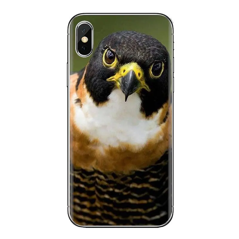 Peregrine Falcon fastest animal Birds For iPod Touch Apple iPhone 4 4S 5 5S SE 5C 6 6S 7 8 X XR XS Plus MAX Silicone Cases Cover |