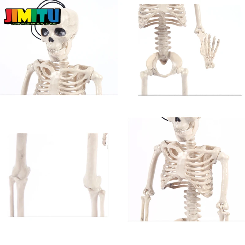 Funny Toy Halloween Skeleton Bride and Groom Plastic Lifelike Human Bones Skull Figurine for Decoration Horror | Игрушки и хобби