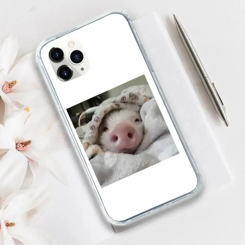 

Cute animal pig Phone Case Transparent for iPhone 11 12 mini pro XS MAX 8 7 6 6S Plus X 5S SE 2020 XR