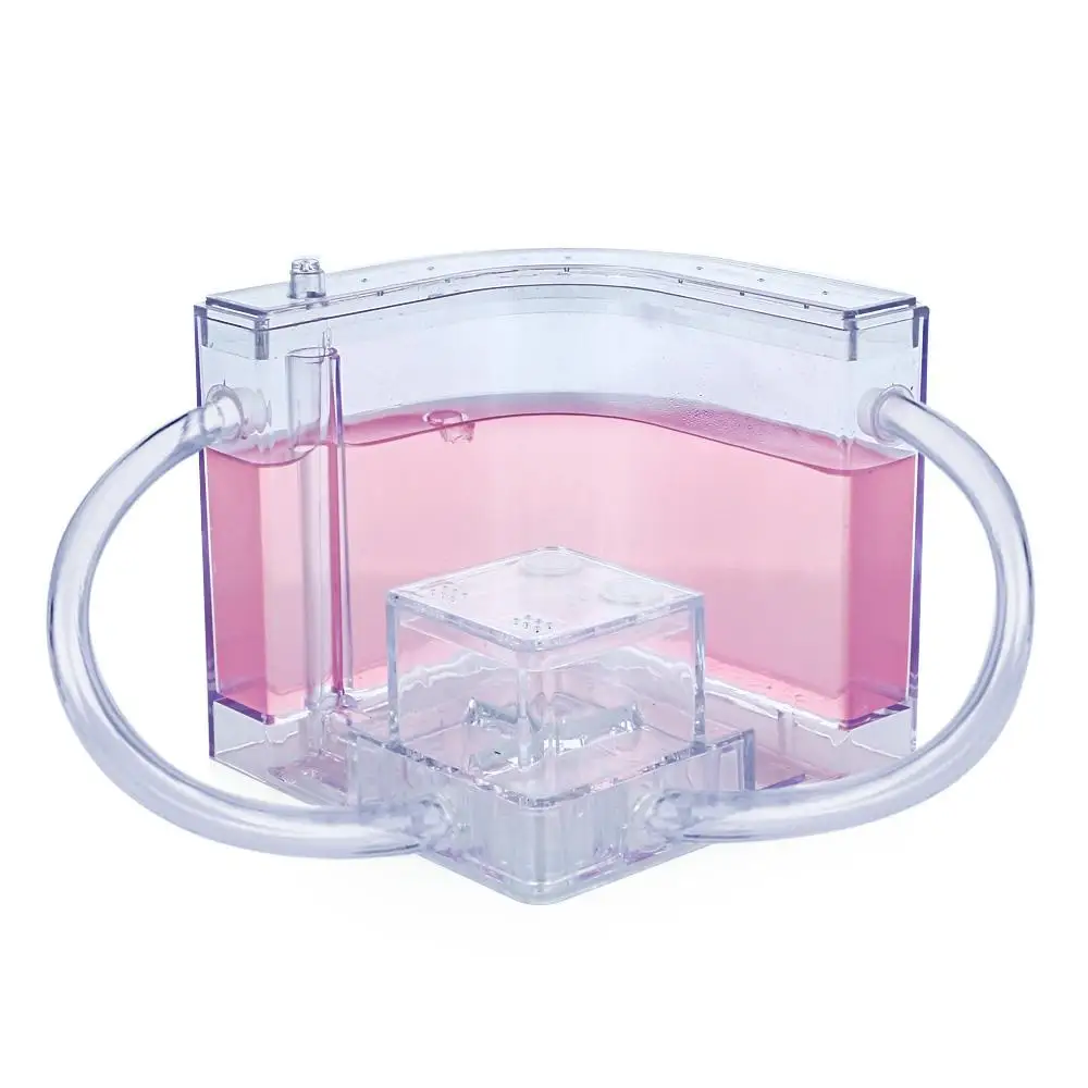 

Pet Toy Colorful Ant Farm Ants House Funny Transparent Habitat Villa Feeding Area Specially Kids Gift Decoration Ant Nest