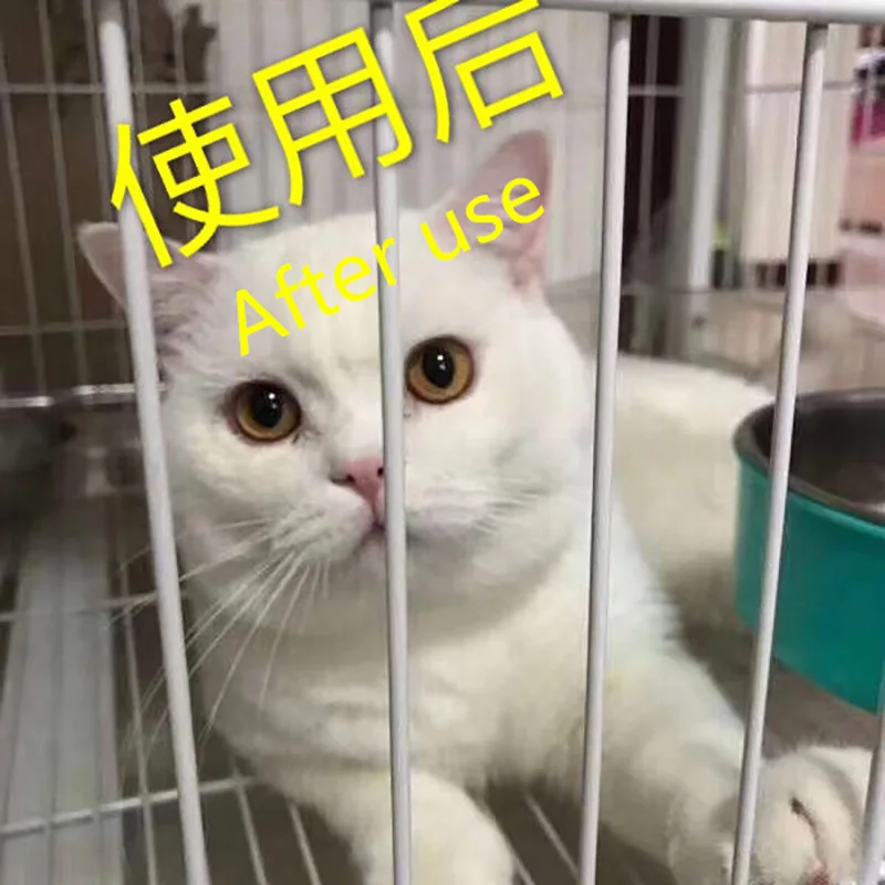 

Cat nose cat eye drops 5ml bright eyes to remove tear marks, cats and dogs eye wash cat eye wash cat cold