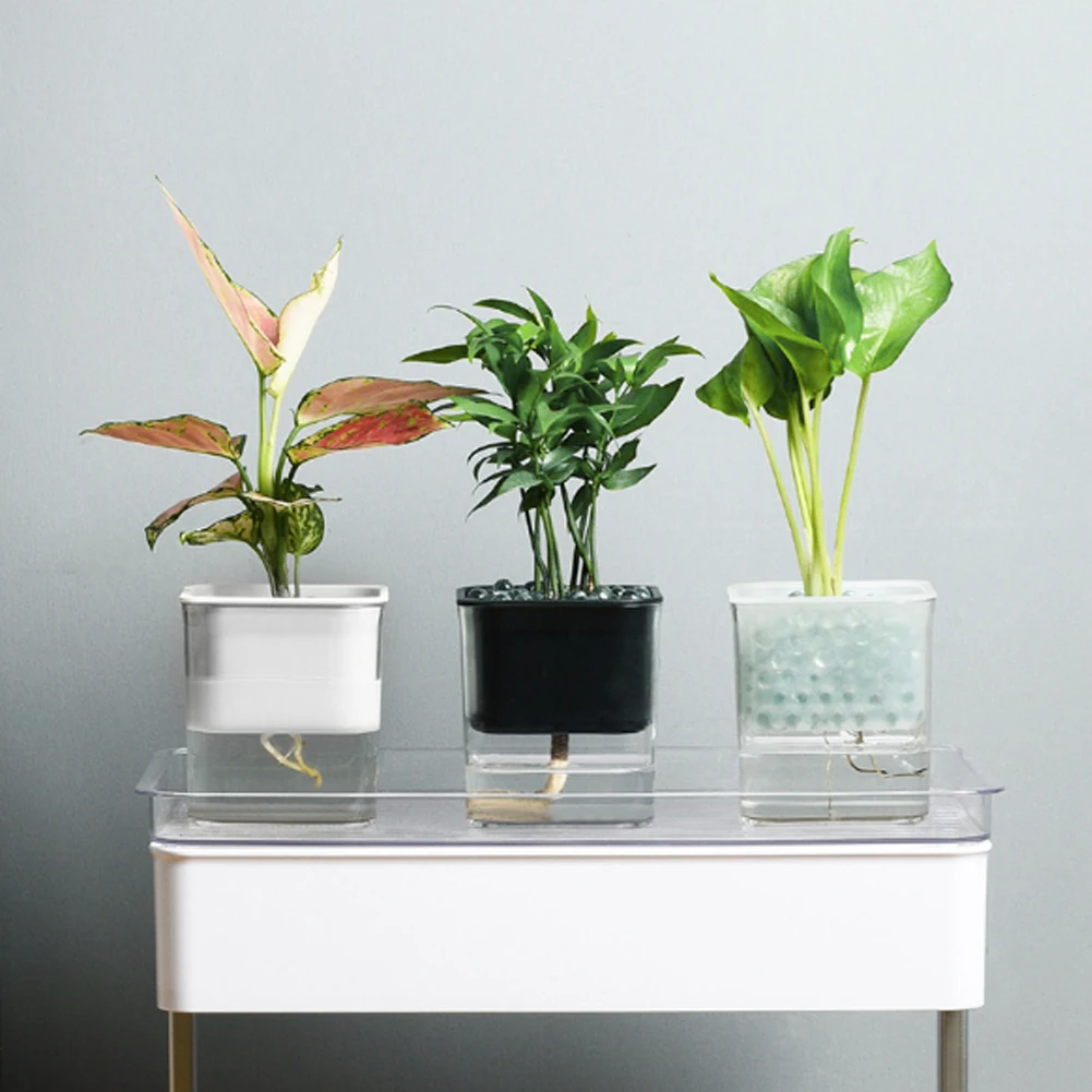 

Automatic Self Watering Flower Plants Pot Creative Transparent Visual Absorption Hydroponic Pot For Garden Indoor Home Decor