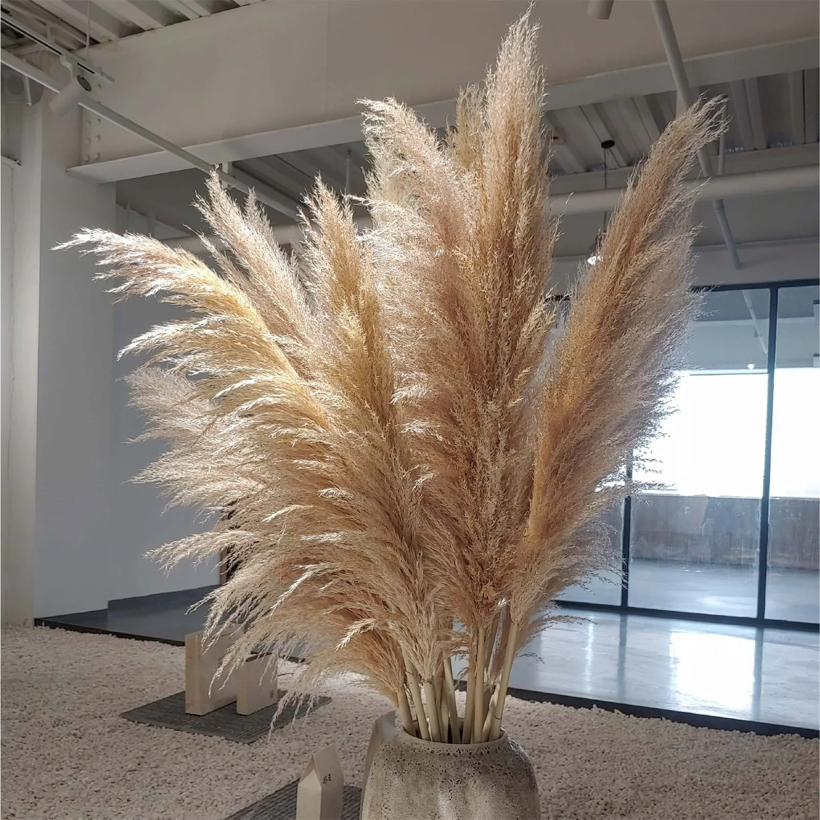 

6pcs Wedding Flowers Pampas Grass Large Size Fluffy for Home Christmas Decor Natural Plants White Dried Flower Home Decor New