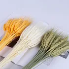 Настоящая пшеница, украшение для ушей, натуральный пампасный кролик, хвост, трава, сушеные цветы для свадебной вечеринки, сделай сам, букет для скрапбукинга
