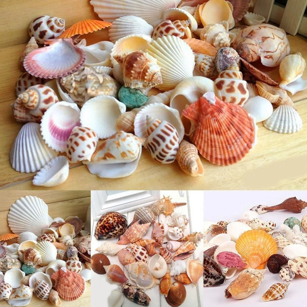 Аквариум Пляж декоративные раковины фотография Реквизит аквариум практичный