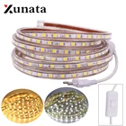 Светодиодная водонепроницаемая лента 220 В, 60 светодиодовм, Светодиодная лента с евровилкой, белыйтеплый белыйсиний