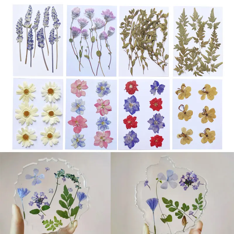 1 Bag Large Petal Dried Flowers UV Resin Filling Jewelry Decorative Natural Pressed Flower Art Floral Decors Epoxy Resin Mold