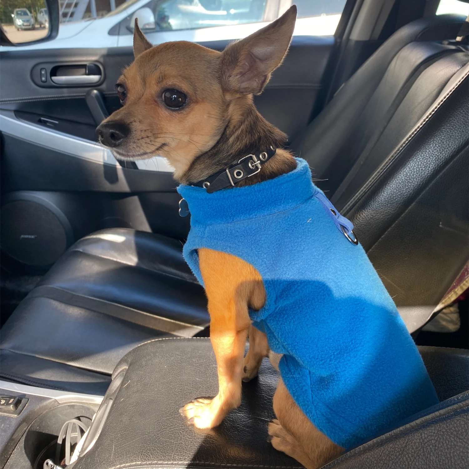 Зимняя Мягкая флисовая одежда для домашних питомцев щенков пальто французского