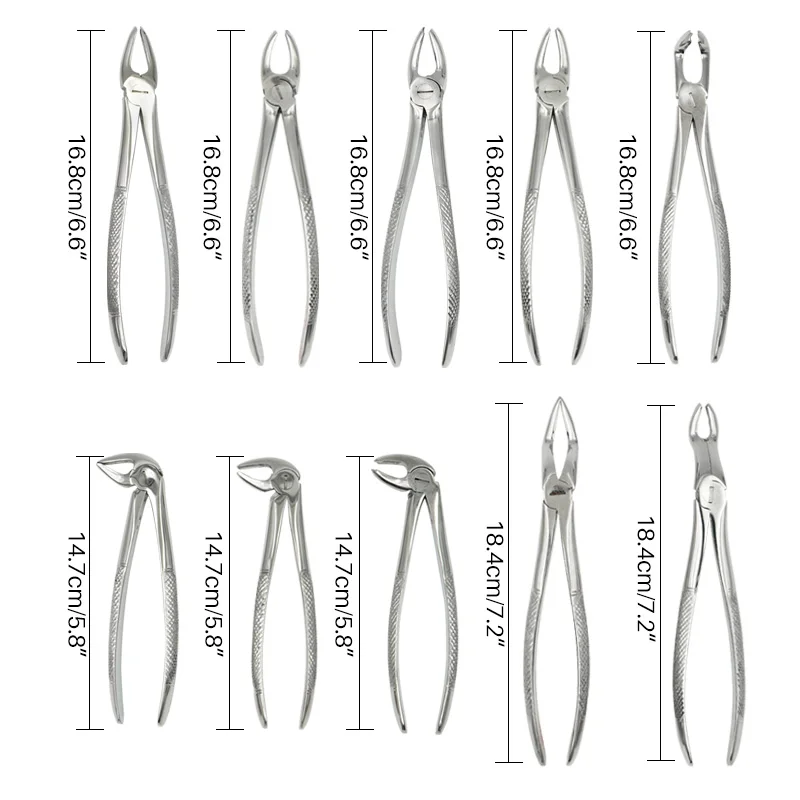 

10pcs Tooth Extracting Forceps Dental Pliers for Dentist Clinic as Tool kit Dental Surgical Extraction Instrument for Adult