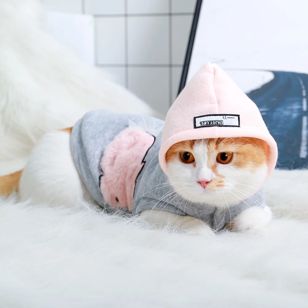 Hoopet одежда для домашних животных, котов собака пальто костюм плюшевого медвежонка на щенков и небольших собак, платье принцессы, одежда для кошек