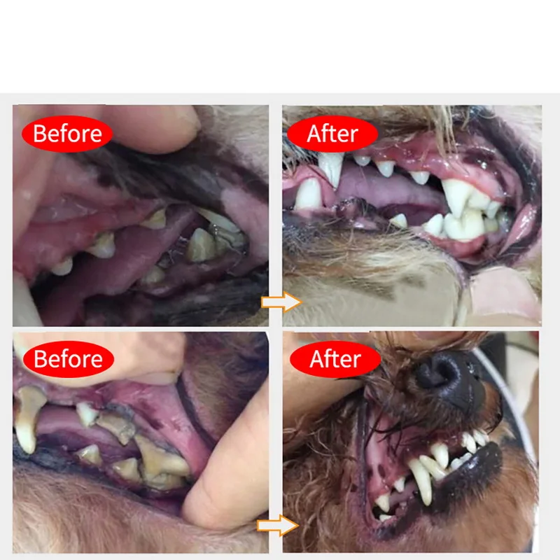 Зубная щетка для домашних животных набор из зубных паст маленьких средних и