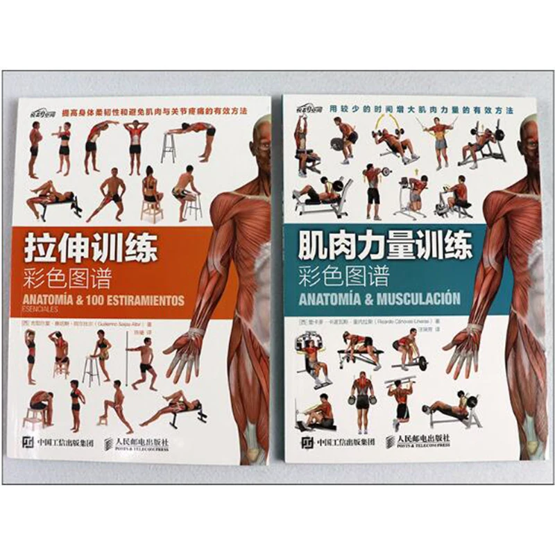 2/шт. Мышечная силовая тренировка + Растяжка цветная карта упражнения фитнес