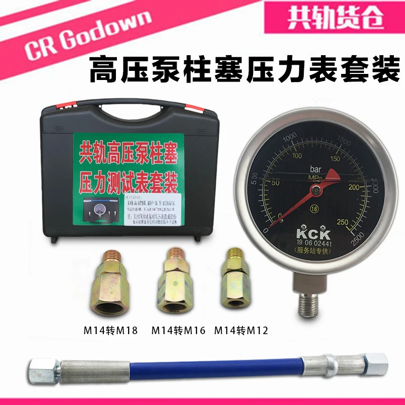 

Diesel High-Pressure Common Rail Pressure Gauge Oil Pump Plunger Oil Pump Pressure Test Kit High Pressure 0- 2500 bar