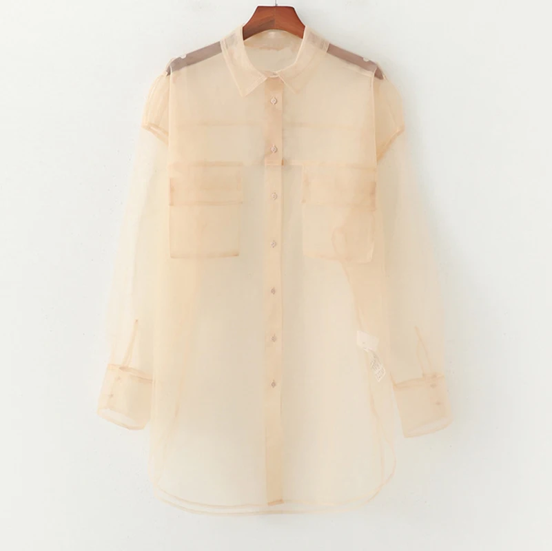 Новинка весна-осень 2020 женская модная прозрачная длинная рубашка ZA с длинными