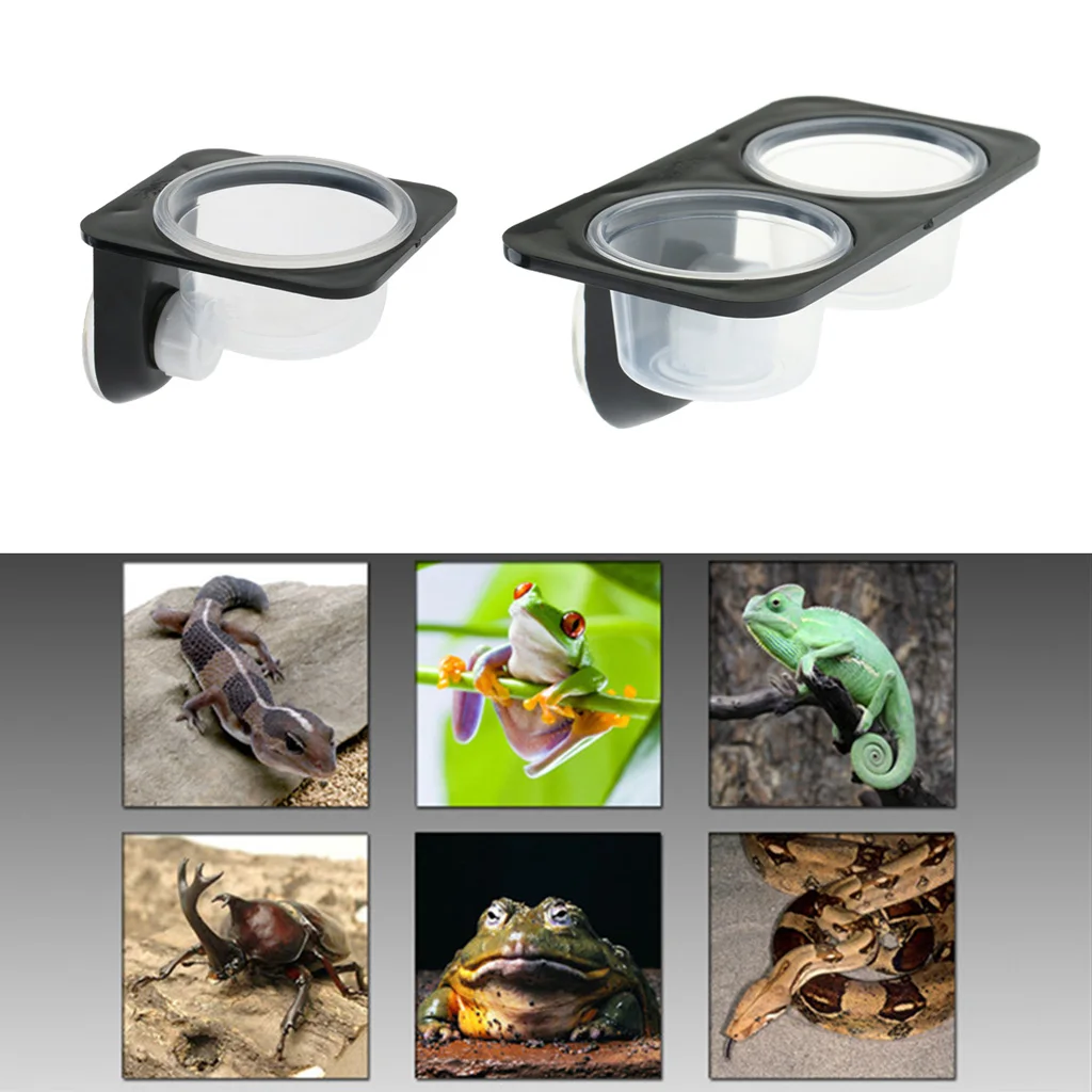 

Reptile Lizard Gecko Food Water Bowls Anti-escape Dish Terrarium Pot for Small Reptiles
