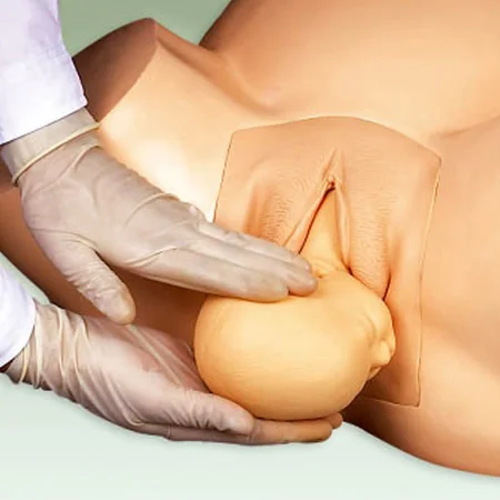 Симулятор обучения акушерству вакуумная доставка демонстрационная модель для