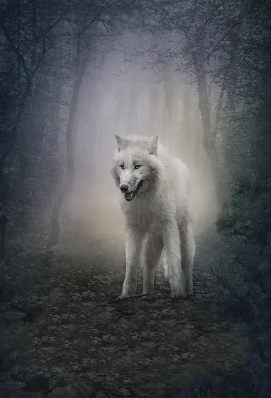 Laeacco Белый Волк дерево листья лес Фэнтези Глен животное фотографии фоны на заказ