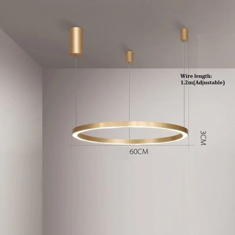 1ring D60cm LukLoy, новинка, Современные Простые Кольца, люстра, для дома, гостиной, подвеска, Золотая лампа, подвеска для столовой, затемненный Лофт светильник - Цвет абажура: 1ring D60cm