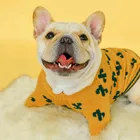 Зимний свитер с изображением кактуса из куркумы для домашних животных; Удобная мягкая теплая одежда для домашних животных; Одежда для собак