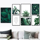 Картина на холсте алоэ монстера фикус банановый лист художественная стена с цитатой, скандинавский постер и принты, настенные картины для гостиной, домашний декор