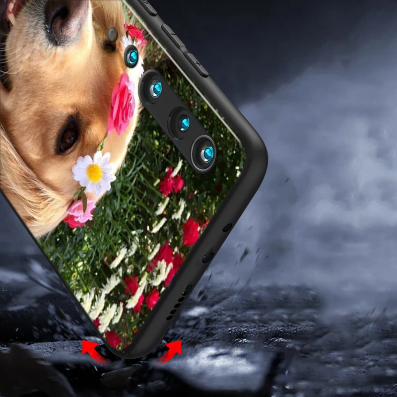 

Silicone Cover Cute Golden Retriever dog for Xiaomi Mi 10 9T CC9 Pro Note 10 9 8 6 A3 A2 A1 Lite Play Mix 3 Black Phone Case
