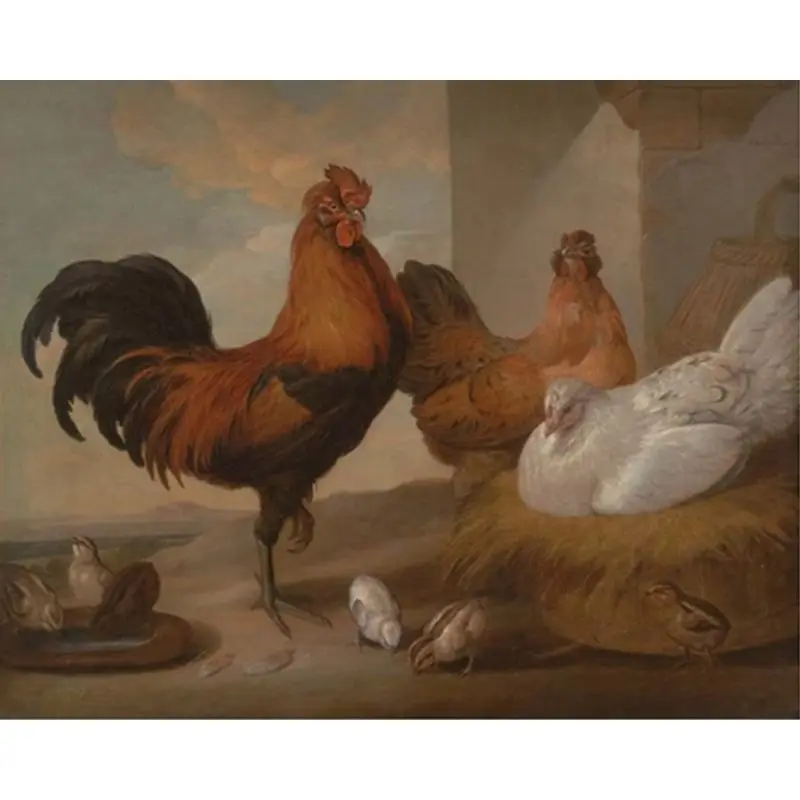 

SELILALI Nine Chicken Animal Painting By Numbers Hand Paint Diy Framed On Canvas Acrylic Oil Picture By Number Home Wall Decor