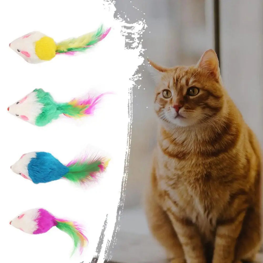 

Fashion pet cat toys funny mini play toys for cats with colorful feather