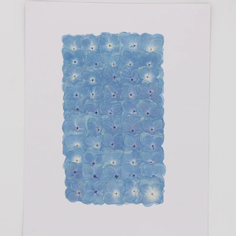 Небесно Голубая Гортензия сушеные цветы Тиснение Клей цветок свеча Помпон