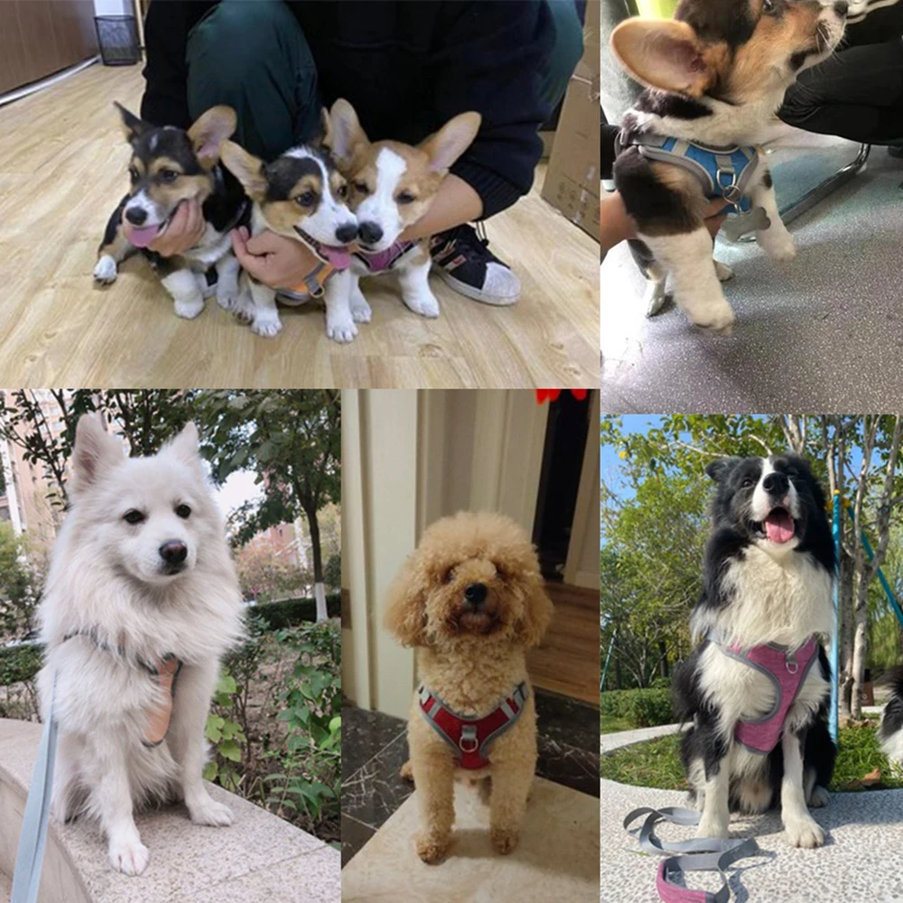 

Hot No Pull Reflective Dog Harness and Leash Set Heavy Duty & Adjustable for Dog of All Sizes Walking Training Supplies FQ-ing