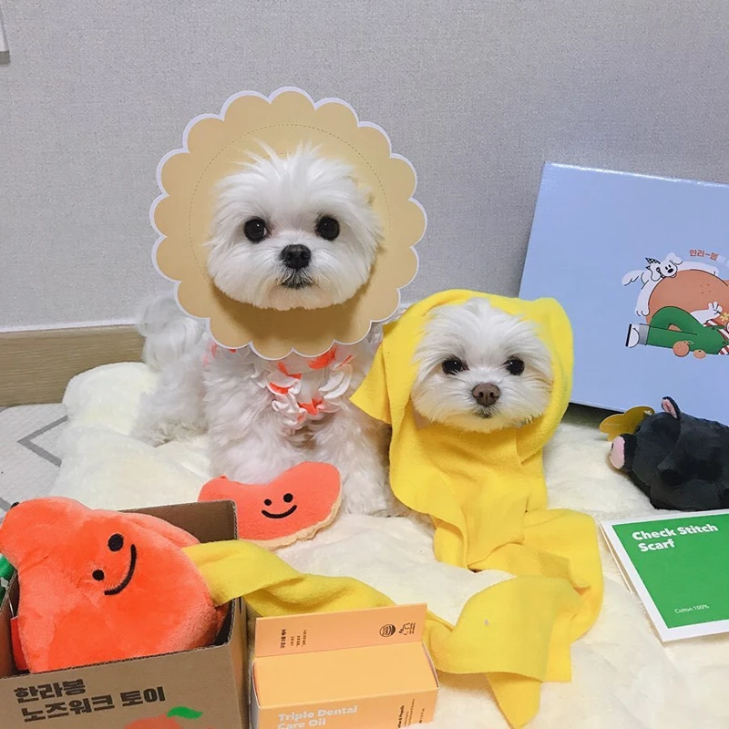 

2021NEW INS New Cute Pet Plush Toys Squeak Pets Fruit Orange Plush Toys Dog Chew Squeaky Dog Snuff Mat Toy Dog Leaking Food Toys