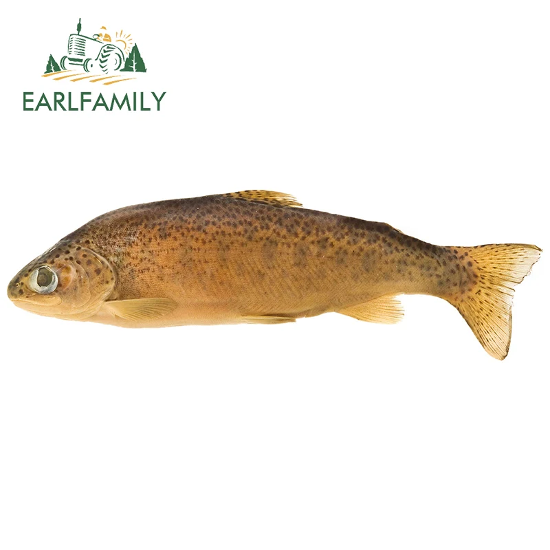 Earlfamily 13см x 4,1см наклейка для автомобиля Кэтфиш Аниме декор Creativite RV JDM VAN Стикер водонепроницаемый солнцезащитный