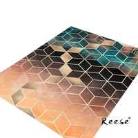 reese abstract area rug 3d print carpets for living room bedroom simple fashion geometric gradient pattern hot sale product