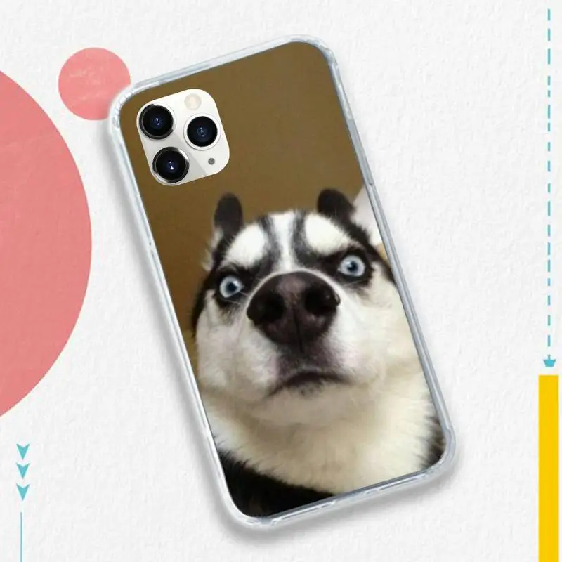 

Puppy Dog Animal Husky cute Phone Case for iPhone 11 12 pro XS MAX 8 7 6 6S Plus X 5S SE 2020 XR