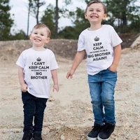 funny im going to be a big brother again children boys tshirt kids brother matching clothes pregnancy announcement top outfits