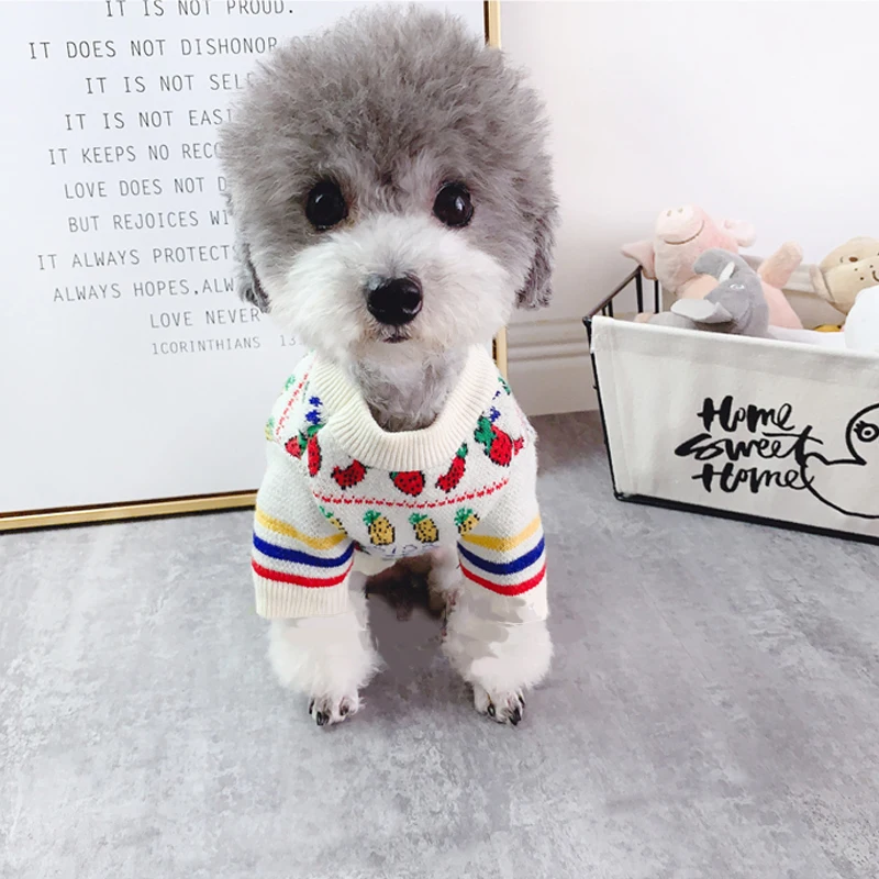 Осенне-зимний свитер для маленьких собак теплая одежда милый плюшевый мишка