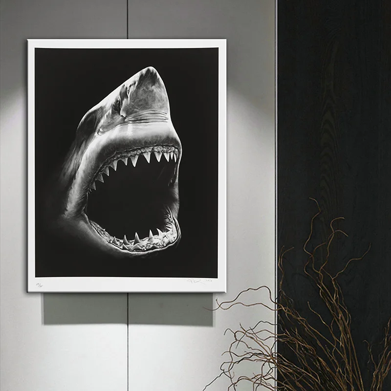 

Shark Canvas Paintings Animals Wall Art Canvas Prints Art Posters Decorative Pictures Canvas Art Sharks for Home Wall Decor