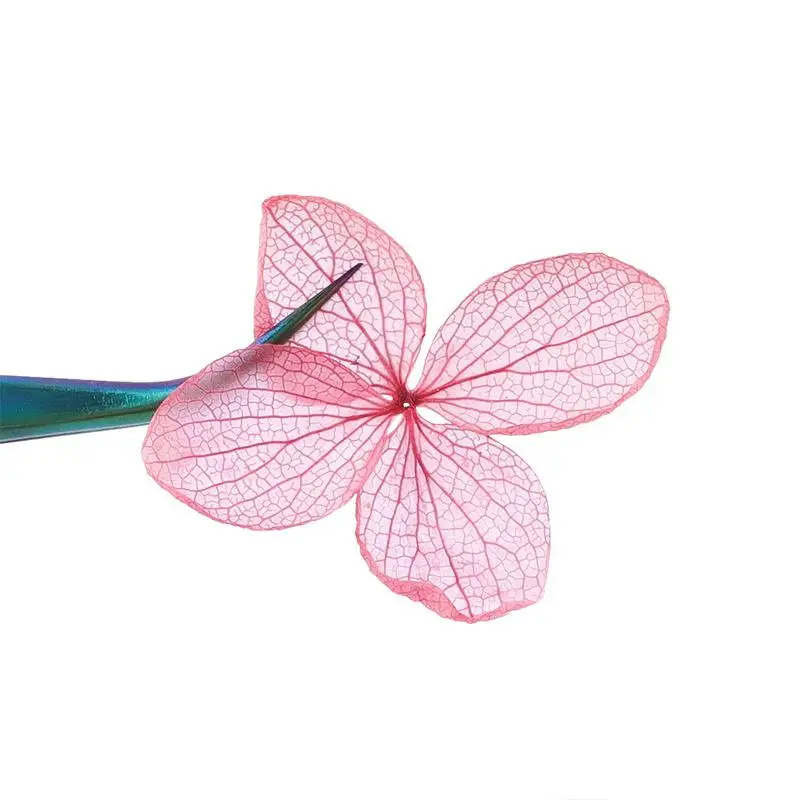 1 Box New Japanese Nail Art Decorations Dried Flowers Natural Beautiful Fresh Flower Lace Ornaments | Красота и здоровье