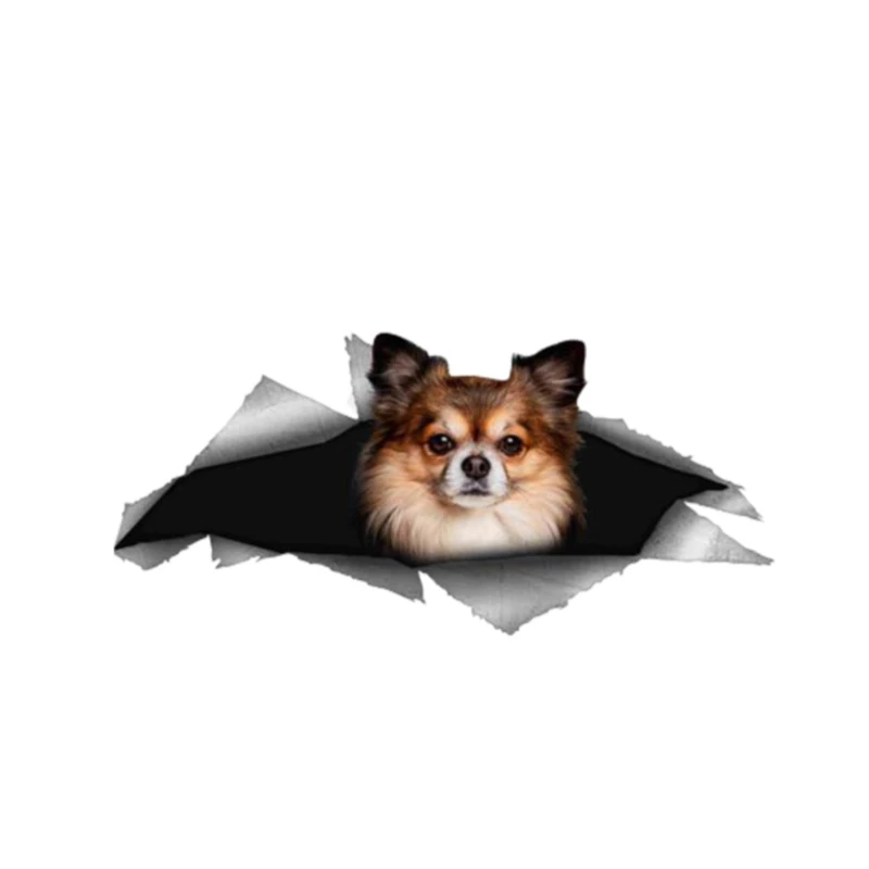 

Funny Car Sticker Accessories Chihuahua Dog Pet 3D Pet Vinyl Waterproof Car Window Body Decorative PVC 13cm X 6cm
