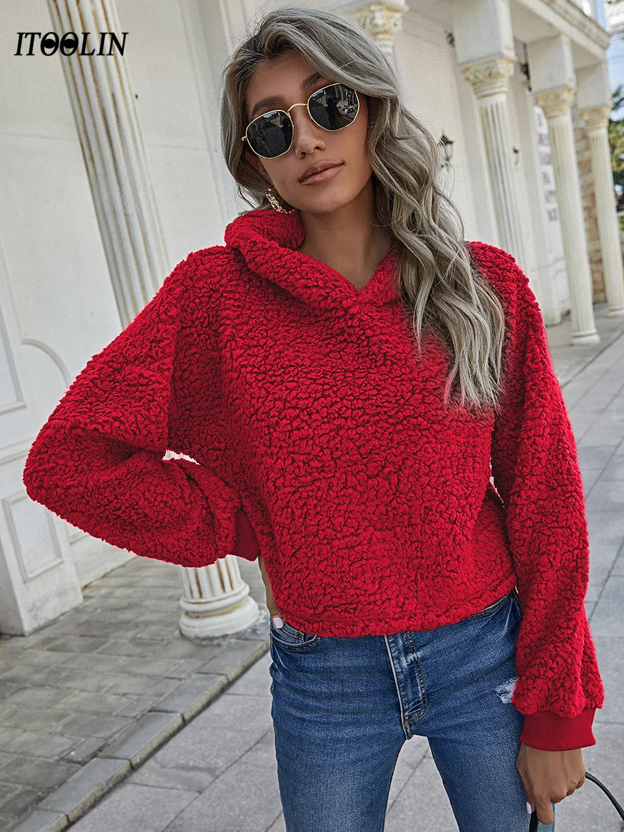 

ITOOLIN Women's Casual Hooded Sweaters Female Chic Solid Long Sleeve Pullover 2021 Autumn Winter Clothes Streetwear Tops Cropped