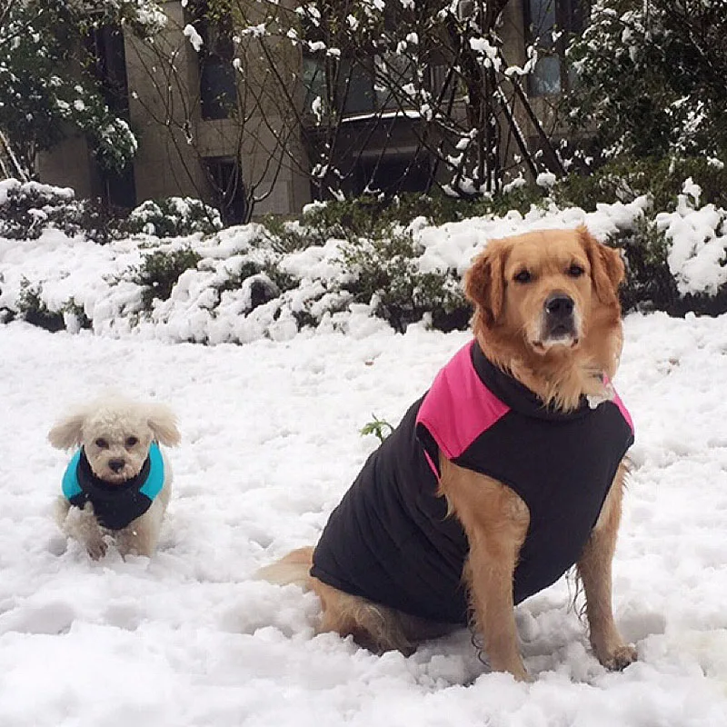 Одежда для собак водонепроницаемая и плотная хлопковая теплая одежда осенне