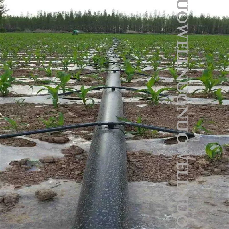 in ground sprinkler system kit 10~50m 3/4'' Φ20mm Micro Irrigation Spray Tape 0~5Holes Agricultural Irrigation Soft Hose Greenhouse Under Membrane Film Tube drip irrigation kits for small farms